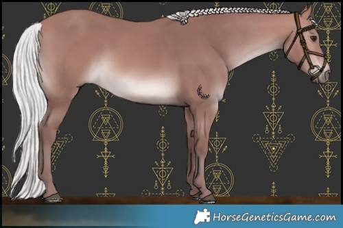 Horse Color:Platinum Chocolate Silver Brown 