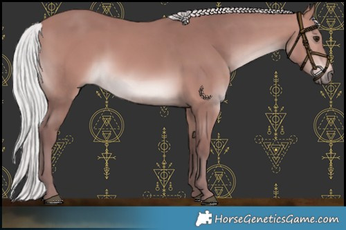 Horse Color:Platinum Chocolate Silver Brown