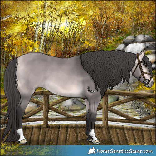 Horse Color:Platinum Buckskin 