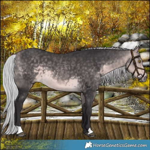 Horse Color:Platinum Silver Buckskin 