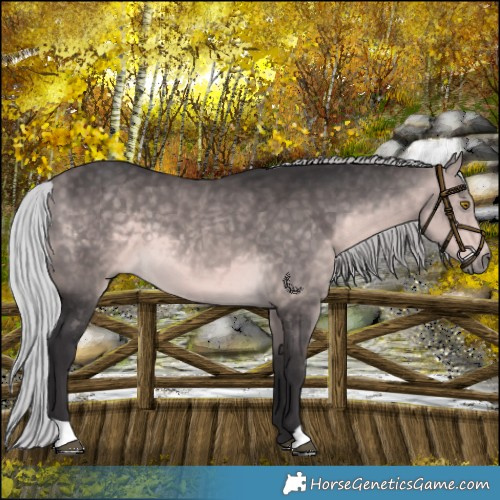 Horse Color:Platinum Silver Buckskin 