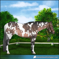 Horse Color:Platinum White Spotted Brown Mushroom 