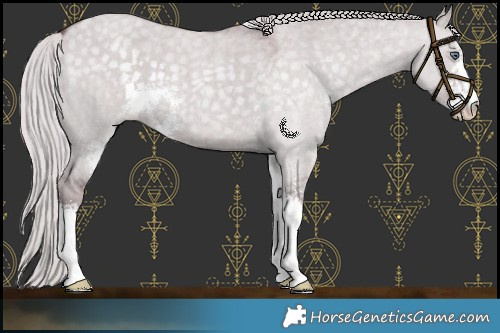 Horse Color:Chocolate Silver Smoky Grullo Chinchilla Roan Sabino