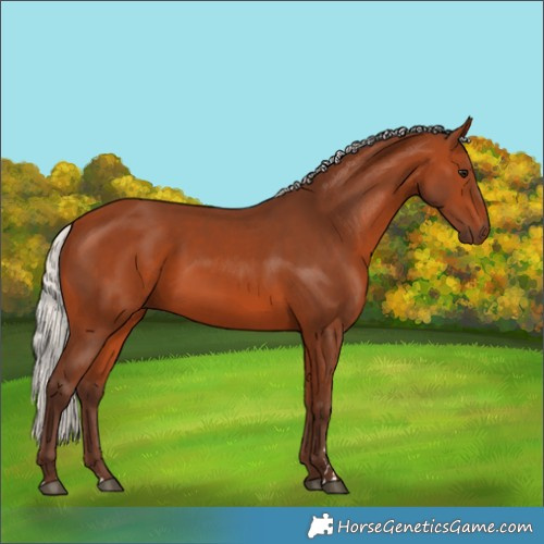 Horse Color:Silver Bay