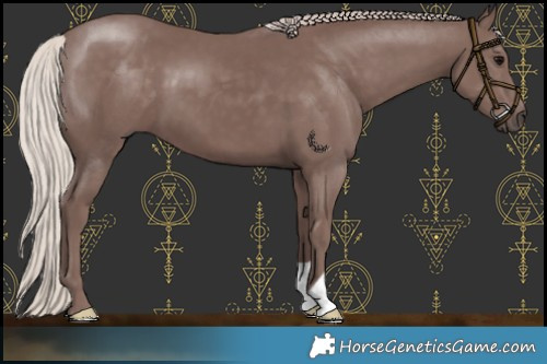 Horse Color:Chocolate Silver Black 