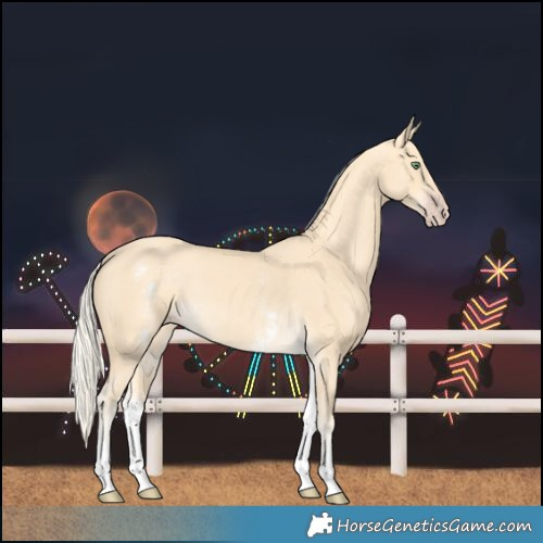 Horse Color:White Spotted Gold Cream Champagne 