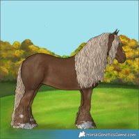 Horse Color:Chocolate Palomino 