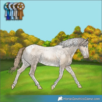 Horse Color:Smoky Creme Dun Tobiano