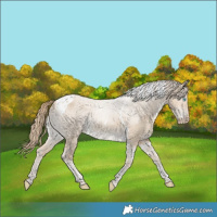 Horse Color:Smoky Creme Dun Tobiano 