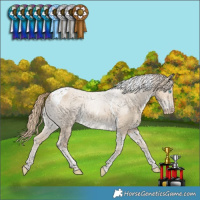 Horse Color:Smoky Creme Dun Tobiano 