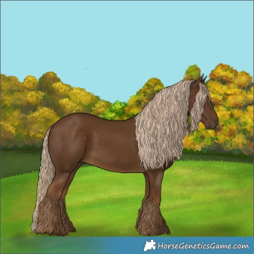 Horse Color:Chocolate Palomino 