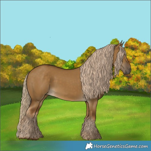 Horse Color:Chocolate Palomino Dun 