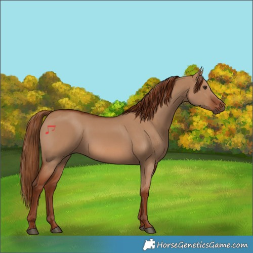 Horse Color:Red Dun 