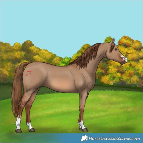 Horse Color:Red Dun