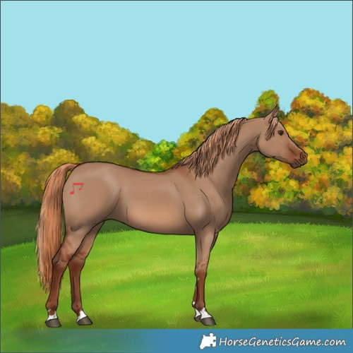 Horse Color:Red Dun