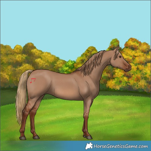 Horse Color:Red Dun 
