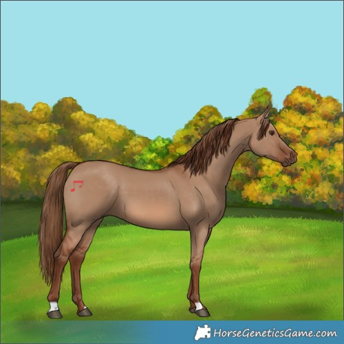 Horse Color:Red Dun 