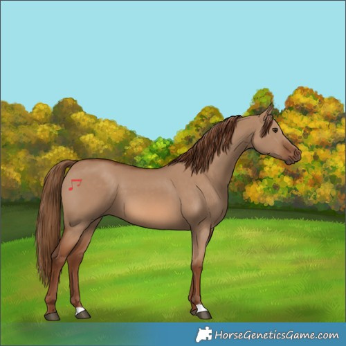 Horse Color:Red Dun 