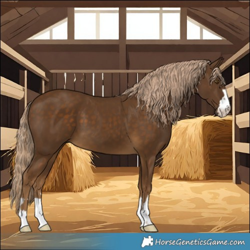 Horse Color:Chocolate Palomino 