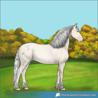 Horse Color:Silver Smoky Blue Roan Pearl