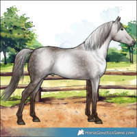 Horse Color:Gray Chestnut