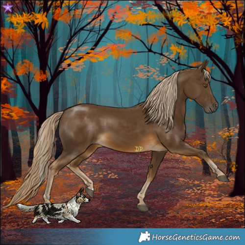 Horse Color:Chocolate Palomino 