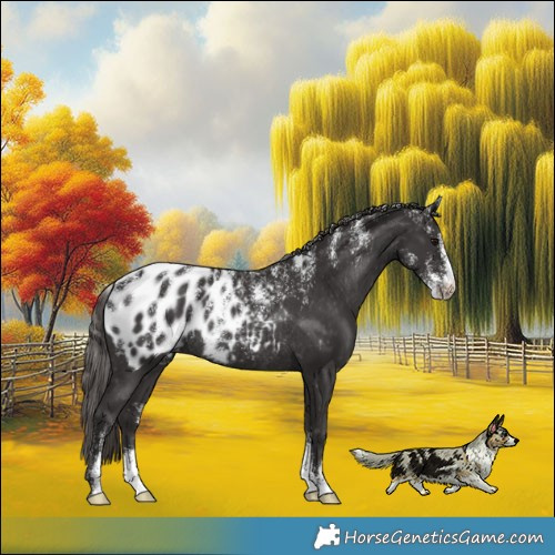 Horse Color:Powder White Smoky Black Blanket Rabicano 