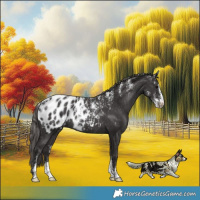 Horse Color:Powder White Smoky Black Blanket Rabicano 