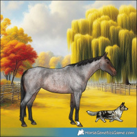 Horse Color:Brown Roan Rabicano 
