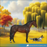 Horse Color:Brown Rabicano