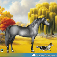 Horse Color:Gray Black Rabicano 