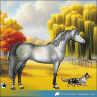 Horse Color:Gray Black Rabicano