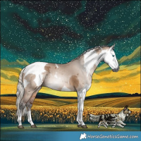 Horse Color:Gray Silver Bay Dun Merle Tobiano 