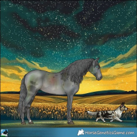 Horse Color:Black Merle 