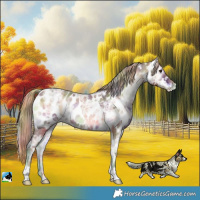 Horse Color:Nacre Red Onyx Ice Roan Leopard 