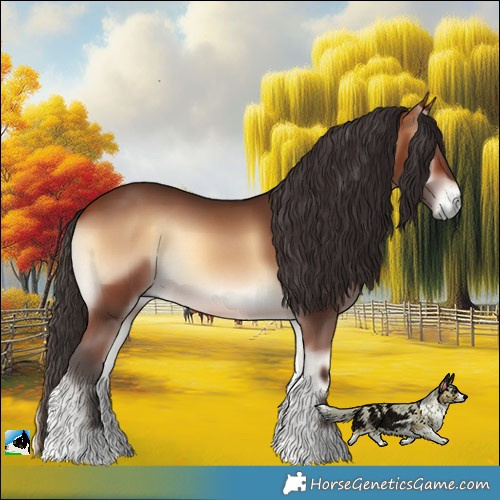 Horse Color:Bay Onyx