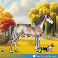 Horse Color:Nacre Bay Ice Onyx Sabino 