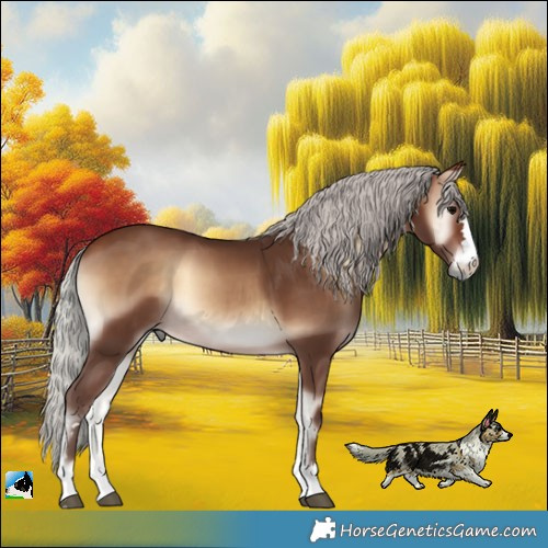 Horse Color:Silver Brown Onyx 