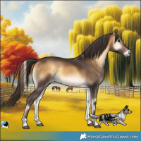Horse Color:Buckskin Onyx 