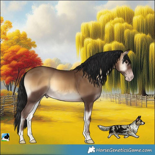 Horse Color:Gray Sable Champagne Onyx 