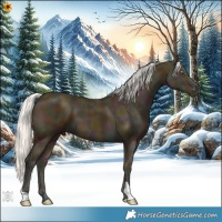 Horse Color:Midnight Silver Amber Cream Champagne Ice