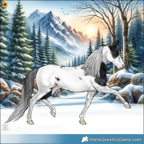 Horse Color:Midnight Black Ice Tobiano Frame