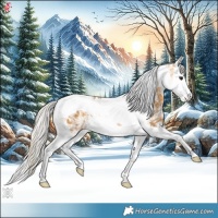 Horse Color:Silver Buckskin Ice Splash Tobiano 