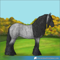 Horse Color:Blue Roan 