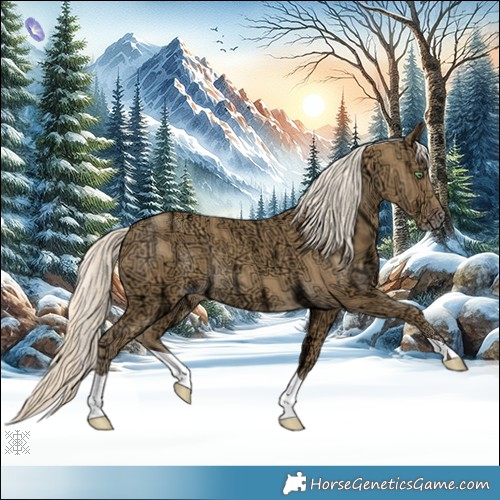 Horse Color:Gold Cream Champagne Ice 