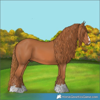 Horse Color:Chestnut 