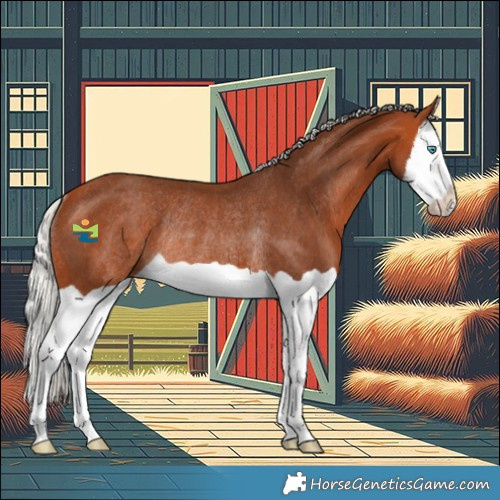 Horse Color:Silver Bay Splash Rabicano 