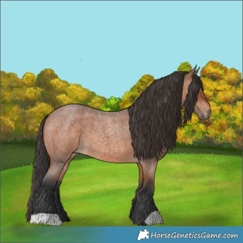 Horse Color:Bay Roan 