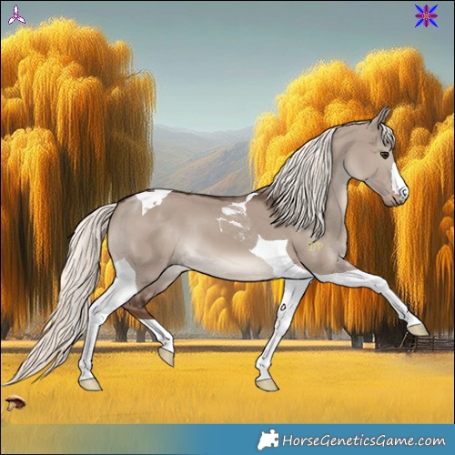Horse Color:Liver Red Dun Mushroom Tobiano 