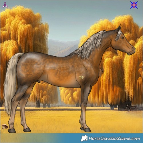 Horse Color:Chocolate Palomino Mushroom 